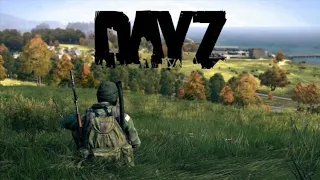 Ищем химзу и золотишко | PREDATORS MEDIUM | Медиум сервер #dayz