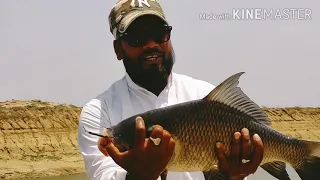 Big catla fish Singh Ka shikar village fishing Hyderabad