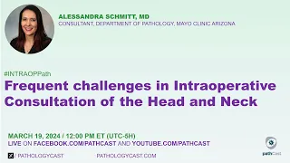 #INTRAOPPATH Frequent Challenges in Intraoperative Consultations of the Head and Neck