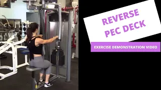 REVERSE Pec Deck Exercise Demonstration