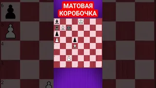 💥МАТОВАЯ КОРОБОЧКА #chesspuzzle #шахматныезадачи #шахматы #chess