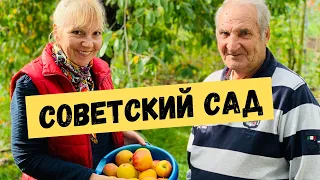 Дача в Германии. Решение продуктового кризиса или дорогое удовольствие?