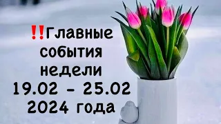 🔮Главные события недели с 19 февраля по 25 февраля 2024 года.🃏Прогноз на картах Таро.