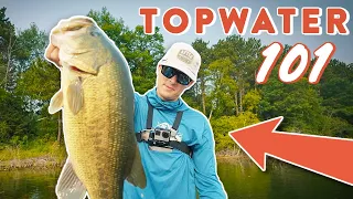 Topwater Bass Fishing 101: Catch and Land More Fish on Topwater!