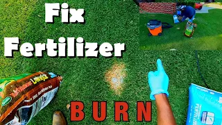 FIX fertilizer Burn on Bermuda grass quick