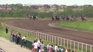 04 ВЕСЕННИЙ ПРИЗ 23.05.21. Жер. орловской породы старшего возраста.1600 м. Воронежский ипподром