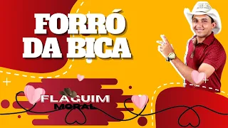 FORRÓ DA BICA FLAGUIM MORAL FLAGUIM MORAL 2021 FLAGUIM MORAL LEVE