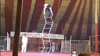 lucky irani circus 2019 ladder master