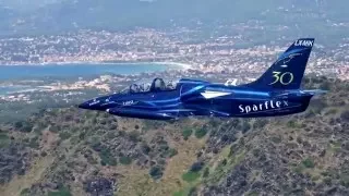 Fly & Fun - L39 Albatros