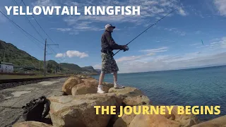The Beginning of my Journey to Catching Yellowtail (Kingfish)