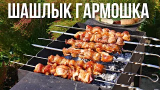 Шашлык "гармошка" на мангале