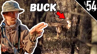 HIGH NOON BUCKS on ARKANSAS PUBLIC LAND!!! (Last Day)