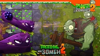 🍇 ПОЛУЧИЛ РАСТЕНИЕ ЕЖЕВИЧНАЯ ЛОЗА 🍇 Plants vs Zombies 2 (Растения против Зомби 2) Прохождение