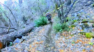 Penny Pines OHV Trail 37 Single Track to The River @Norcal2stroke