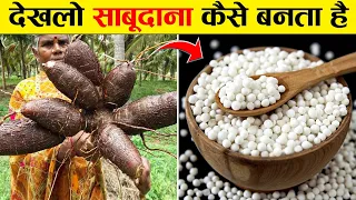 साबूदाना कैसे बनता है? | Sabudana Making Process In Hindi