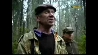 Ни пуха, ни пера! Охота на глухаря на току.