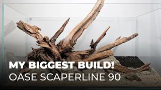 My biggest Aquascape Build Yet! Oase ScaperLine 90 Hardscape Build Video (Part 1)