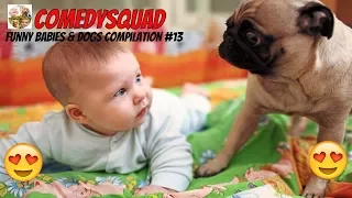 Funny Dogs and Babies Playing Together-Funny Babies & Dogs Compilation #13