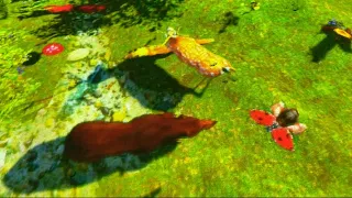 Forest animals Mode - Magicdynamics Interactive AR Sandbox
