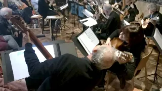 CGO play Saint-Saëns - L’Éléphant