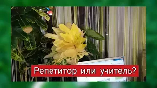 Репетитор или учитель?