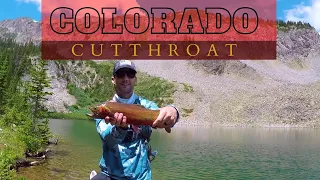 Fly Fishing High Mountain Lake for Native Trout