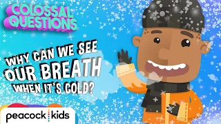 Why Can You See Your Breath When It's Cold? | COLOSSAL QUESTIONS