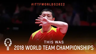 This was 2018 World Team Table Tennis Championships! 🇸🇪