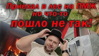 Жизнь в лесу. С чего начать благоустройство.