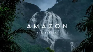 Amazon Rainforest | Short Cinematic Film Explore Enigma