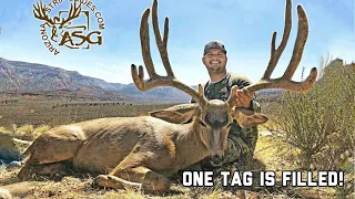 2018 Arizona Strip Archery Mule Deer Hunt Day 8.5! ( The Guide Life Series) Antler Trader