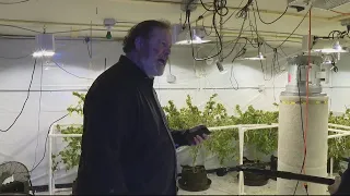 Ex-lawyer's pot growing excuses go up in smoke