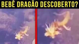 Mergulhador capturou algo que chocou o mundo inteiro