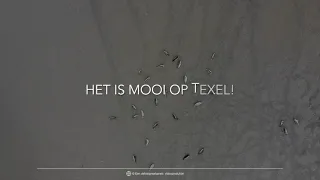 Mooi Texel december 2020