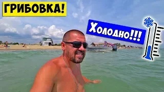 ГРИБОВКА - Холодное МОРЕ в Разгар Сезона / Одесса