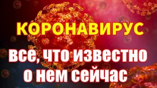 Коронавирус из Китая все, что известно о нем сейчас