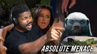 Nature's Black Air Force Energy - Honey Badgers  |  Casual Geographic Reaction
