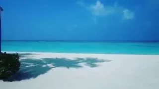 Пляж на Сейшелах Paradise beach Seychelles