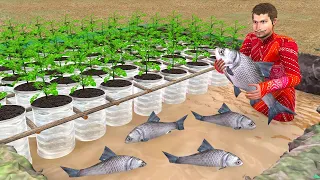 New Comedy Video प्लास्टिक बोतल मछली की खेती Plastic Bottle Fish Farming Comedy Video