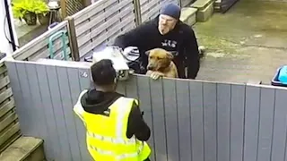 Dog SHOCKS Delivery Driver FUNNIEST Pets Caught on CCTV 🤣