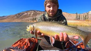 TUBING for CHUNKY BROOK TROUT!! (Catch & Cook)