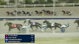 SEPT 19,2020-RACE 1-FLAMBORO DOWNS