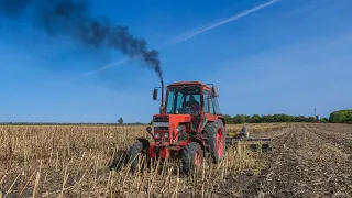 MTZ 82 + NorAn X-Press Roller 4,5 m | A profi napraforgó száraprító kedvező áron!