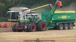 Claas - Fendt - Hawe / Getreideernte - Grain Harvest  TB