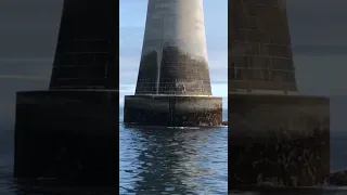 Eddystone lighthouse 14 miles offshore! #subscribe #like #share #100 #comment #ocean #beautiful