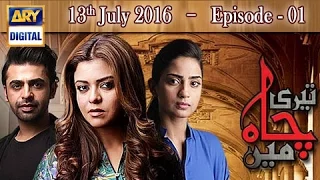 Teri Chah Mein Episode 1 | Farhan Saeed | Maria Wasti | SAboor Aly | ARY Digital