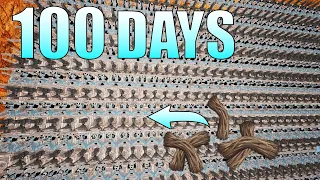 I Spent 100 DAYS On A FiberCraft Server! This is What Happens... | Full WIPE Ark