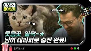 역사탐방이 끝난 후 차려입고 도착한 곳은 고양이 카페..?😺 고양이한테 푹 빠져버린 독일 친구들! l #어서와몰아보기​ l #어서와한국은처음이지​ l EP.6-2