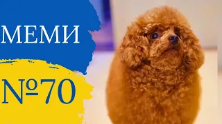 Прикольні приколи №70 | Найкращі відео з тік ток