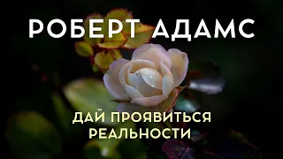 Затормози ум и дай проявиться реальности  - Роберт Адамс